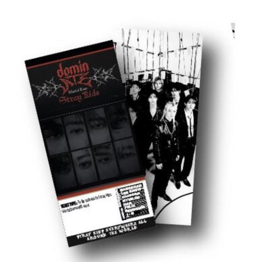 Stray Kids DominATE Souvenir Ticket | Your Date and Your Venue